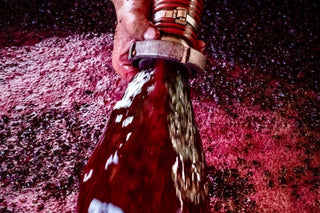 Mosto rosso durante la lavorazione dell’uva nella cantina della Tenuta di Valgiano.
