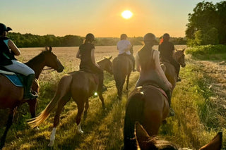 Gruppo di persone a cavallo attraversa un campo nella luce del tramonto.