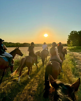 Gruppo di persone a cavallo attraversa un campo nella luce del tramonto.