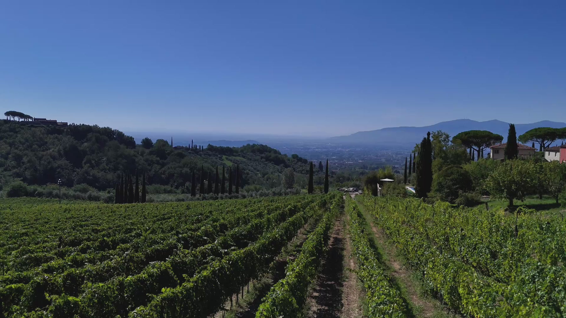 Panorama della Tenuta di Valgiano attraverso riprese dei vigneti, degli edifici storici e della vendemmia.