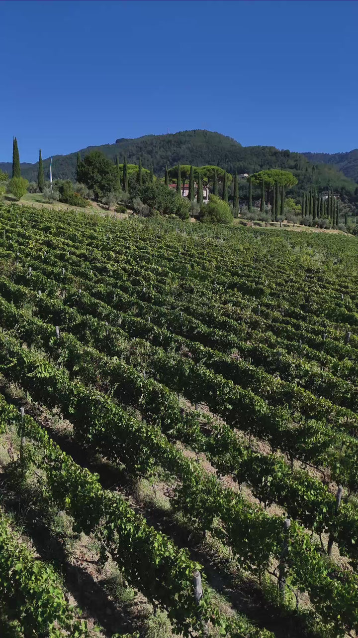 Panorama della Tenuta di Valgiano attraverso riprese dei vigneti, degli edifici storici e della vendemmia.