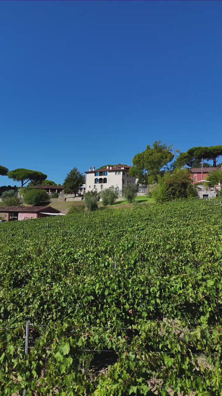 Riprese aeree di Villa Di Valgiano, della piscina, dei vigneti e della villa padronale della Tenuta, sulle colline di Lucca.